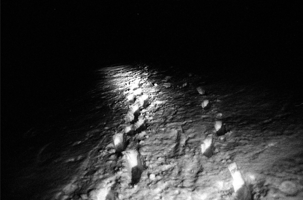 traces de pas dans la neige