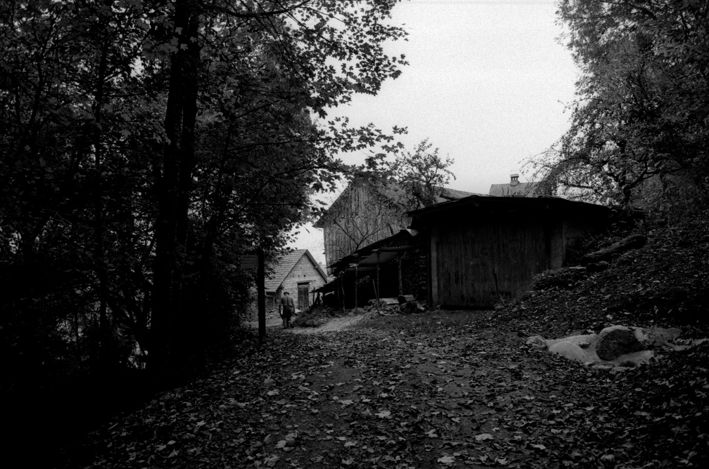 Autumn in a Village