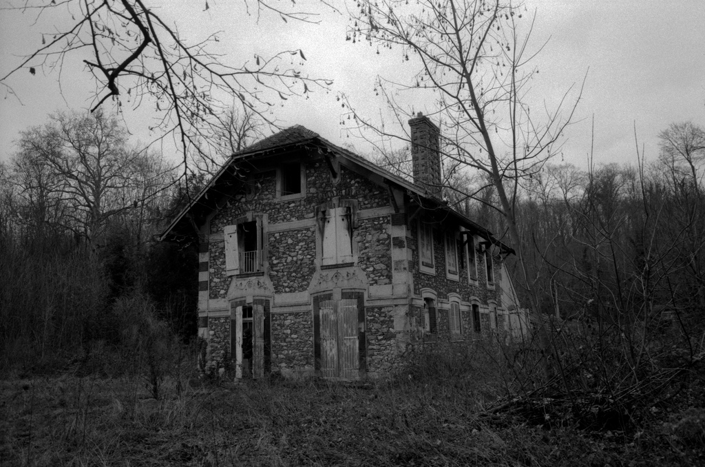 Abandonned houses in the forest