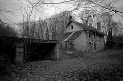 abandonned_houses_forest